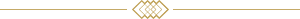 line ornament 300x19 1 2
